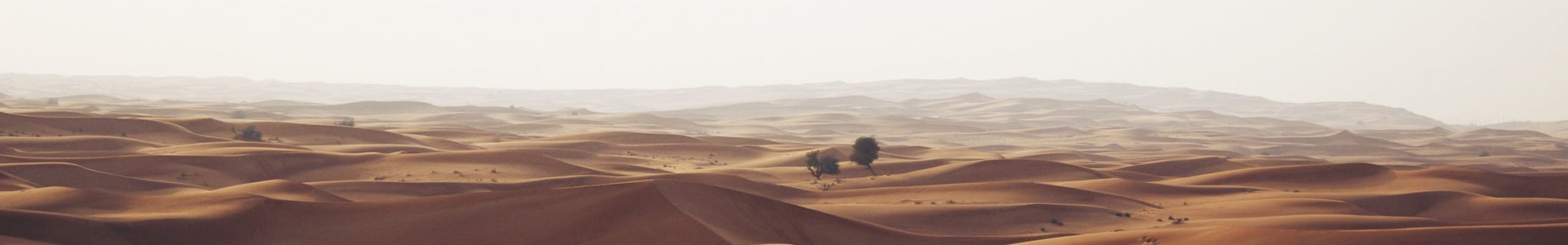 ൺһ׿Ƽ޹˾